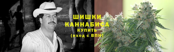 шишки Приозерск
