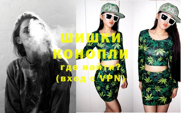 шишки Приозерск