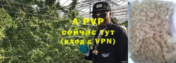 шишки Приозерск