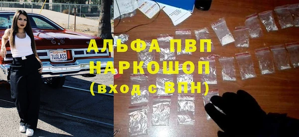 ECSTASY Новоузенск