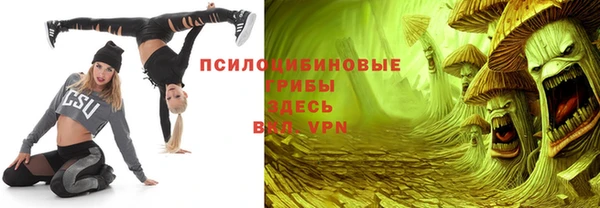spice Пролетарск