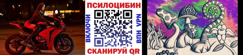 наркотики  Спас-Деменск  Псилоцибиновые грибы прущие грибы 